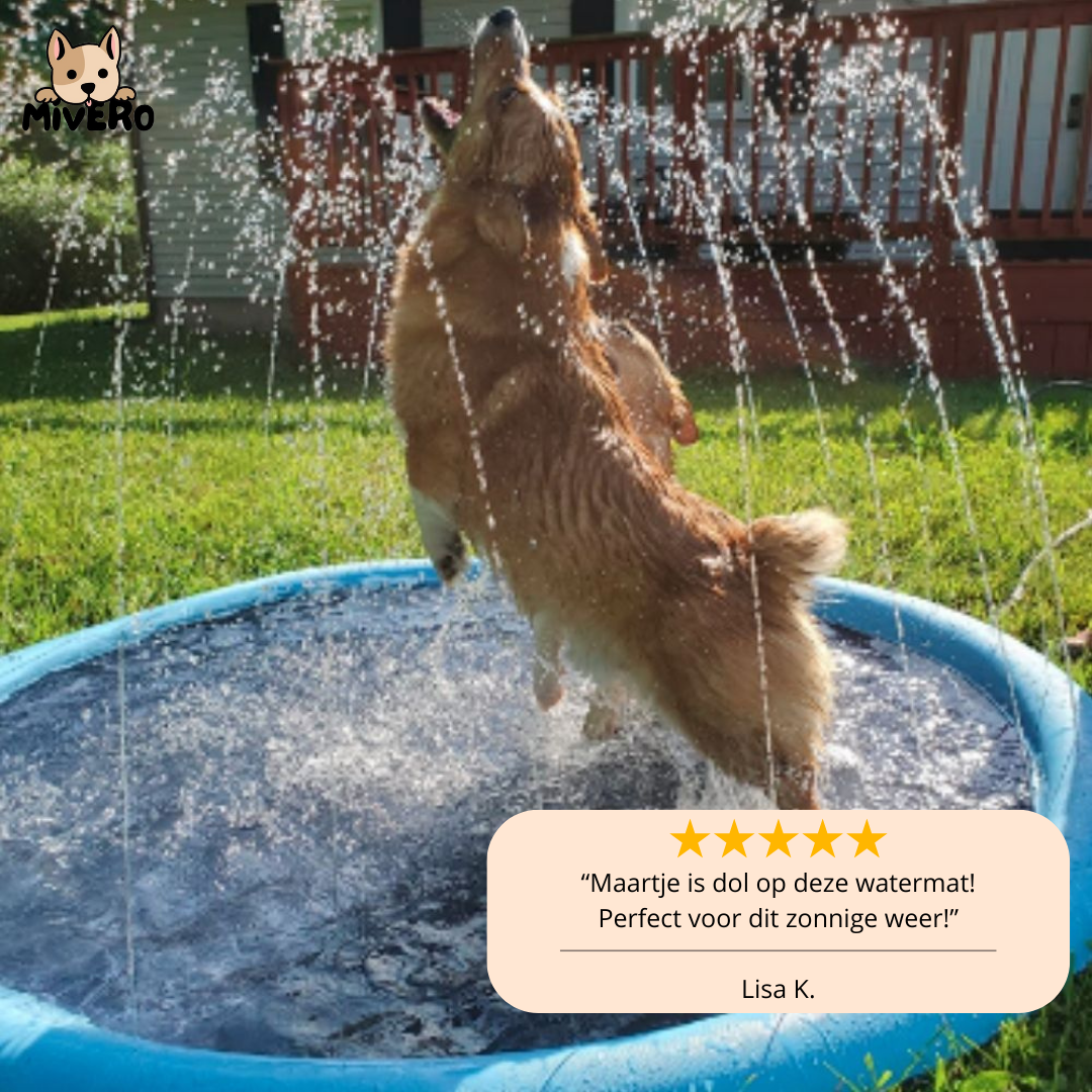 Rynx | AquaPaws - Refreshing playtime for any dog!