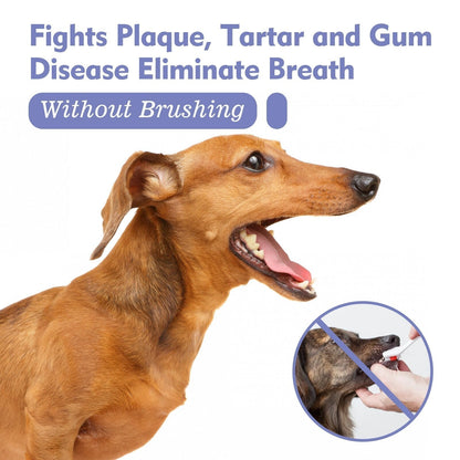 Rynx | Oral Care Spray - Eliminates Bad Breath And Promotes Oral Health