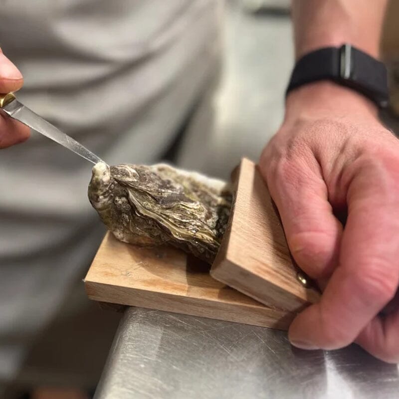 RYNX | Oyster Opening Clamp