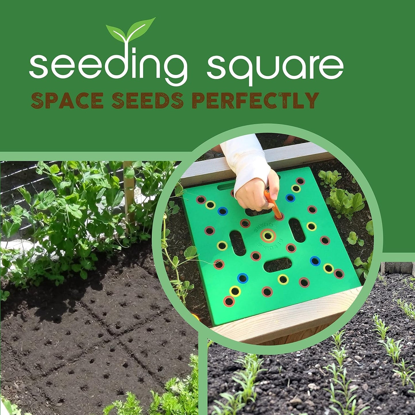 Rynx | Plantgrid Ultimate Garden Template - Seed 2 Splendor Guidebook