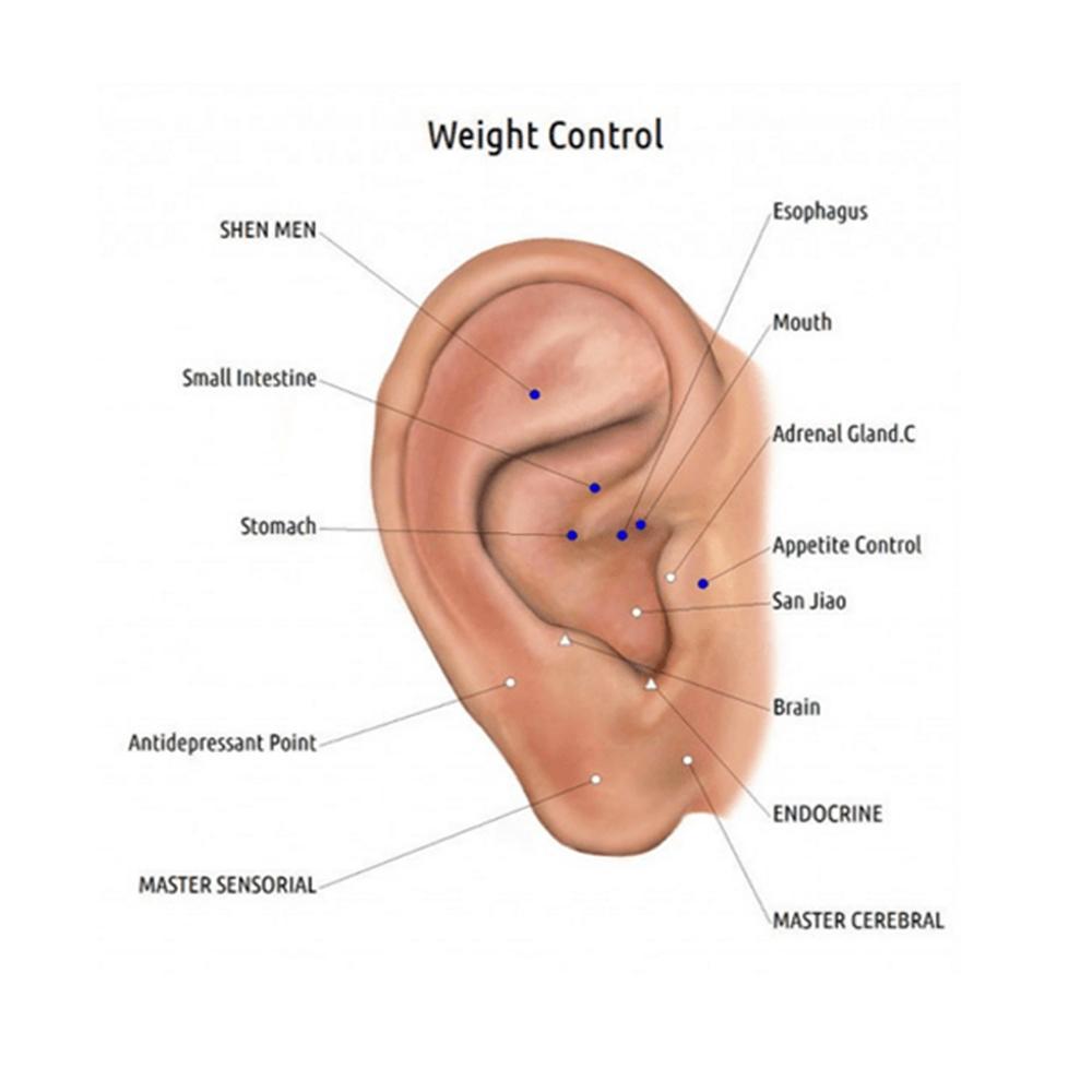 Rynx | Acupressure Magnet Earrings (One Pair)