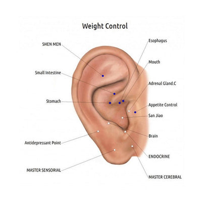 Rynx | Acupressure Magnet Earrings (One Pair)