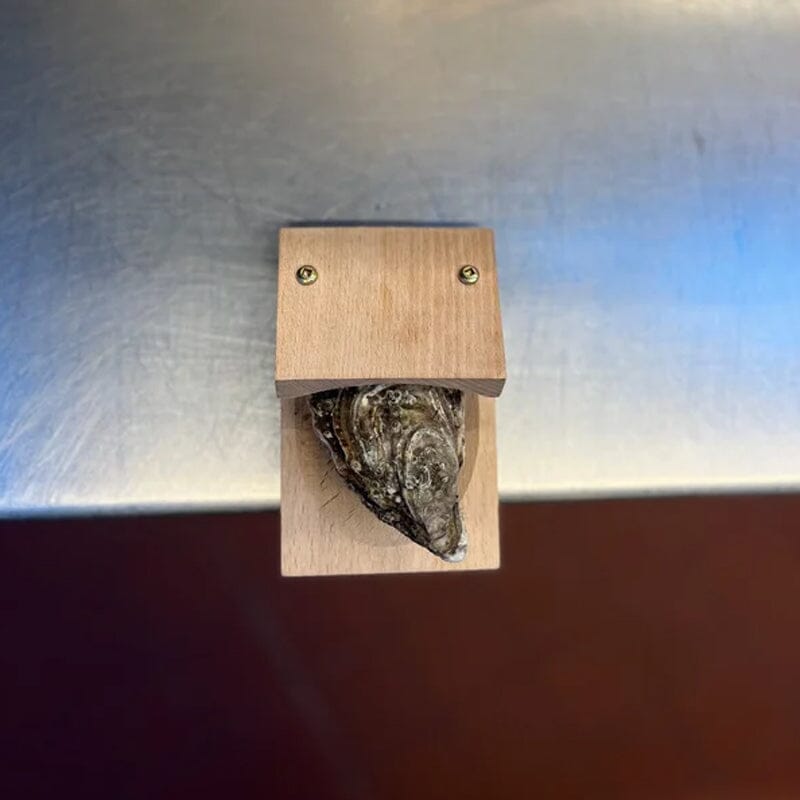 RYNX | Oyster Opening Clamp