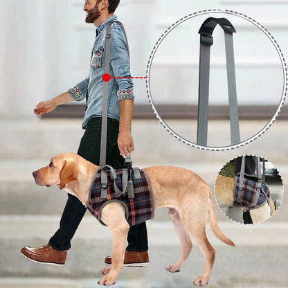 RYNX | Orthopedic Strap For Hind Legs