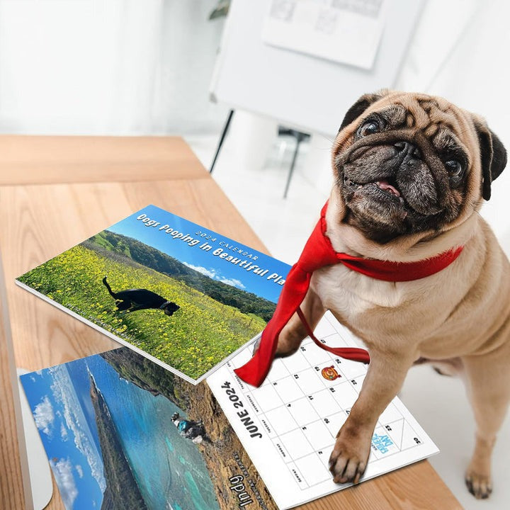 Rynx | 2024 Funniest Calendar-Dogs Pooping In Beautiful Places | "Artistic Expression" Furry Friends