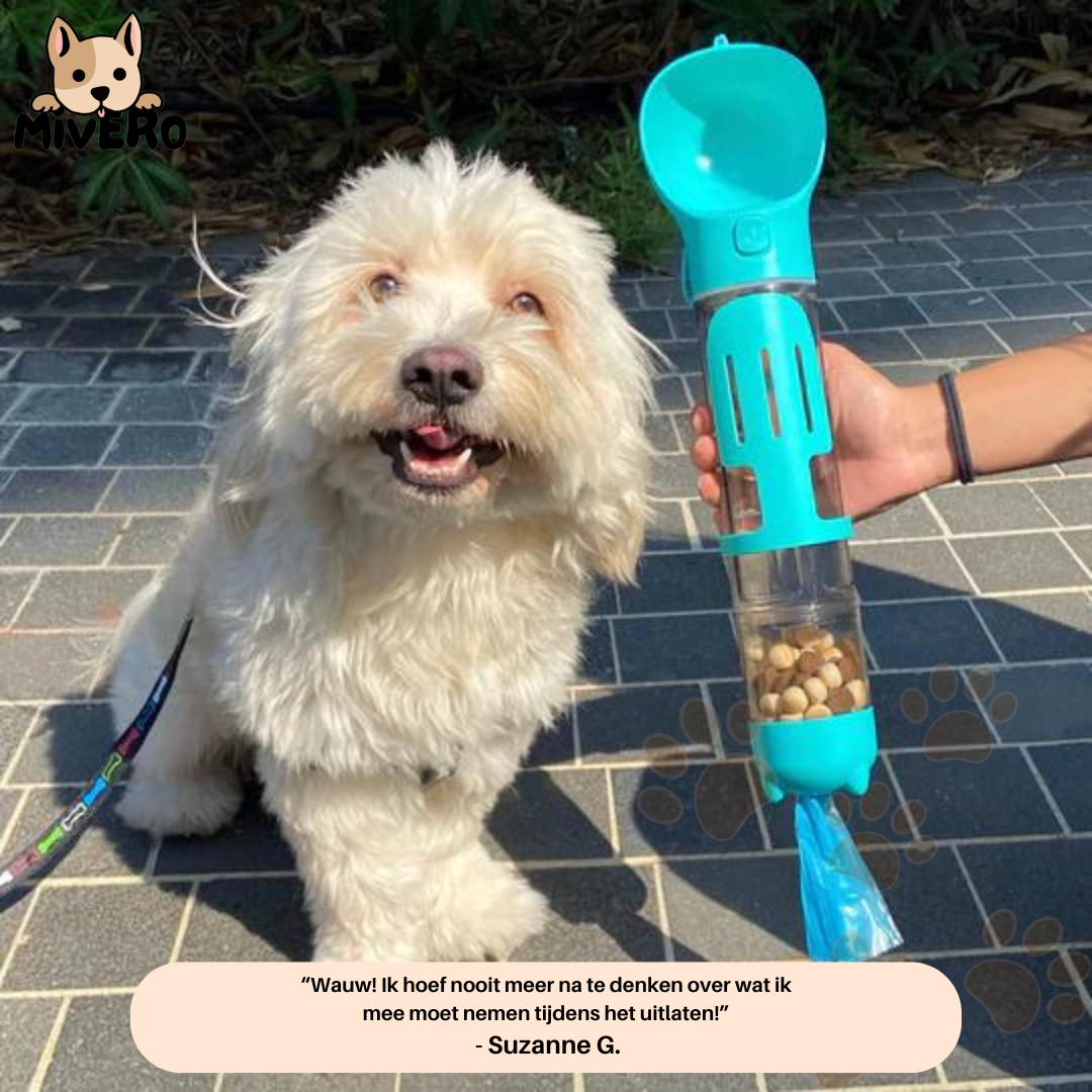 Rynx | Floky - The all-in-one solution for adventures with your dog!