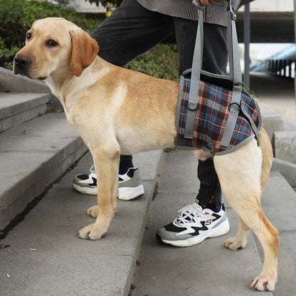 RYNX | Orthopedic Strap For Hind Legs