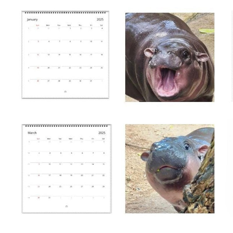 Rynx | Moo Deng Calendar | Calendar 2025