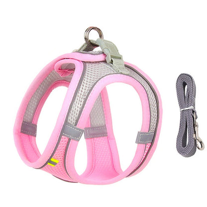 Rynx | Adjustable Summer Mesh Harness and Leash Set for Small Dogs and Cats