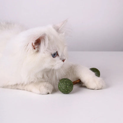 Rynx | Catnip Dumbbell Toy for Cats – Wooden Nibbling Pet Toy