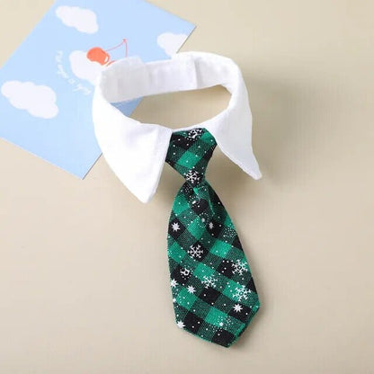 Rynx | formal collar