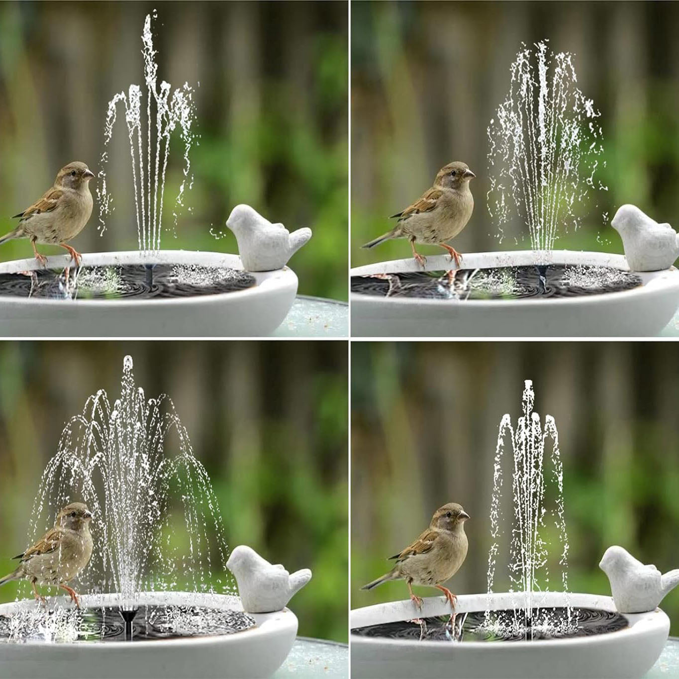 Rynx | 3-layer solar-powered water fountain kit