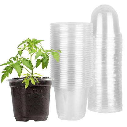 Rynx | 30 pieces: Plant nursery pots PET Flower seed starter pots Container with dome and drainage hole
