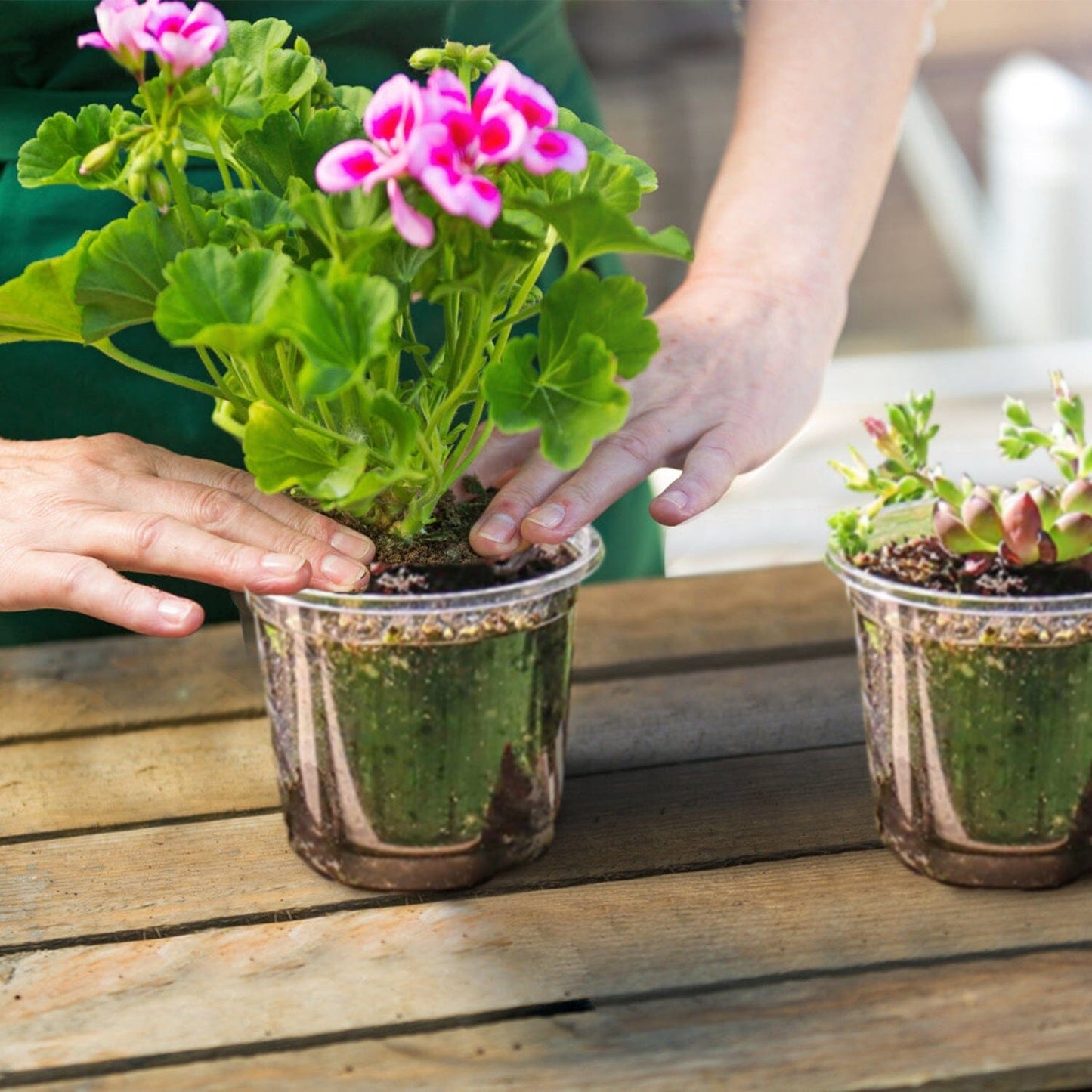 Rynx | 30 pieces: Plant nursery pots PET Flower seed starter pots Container with dome and drainage hole