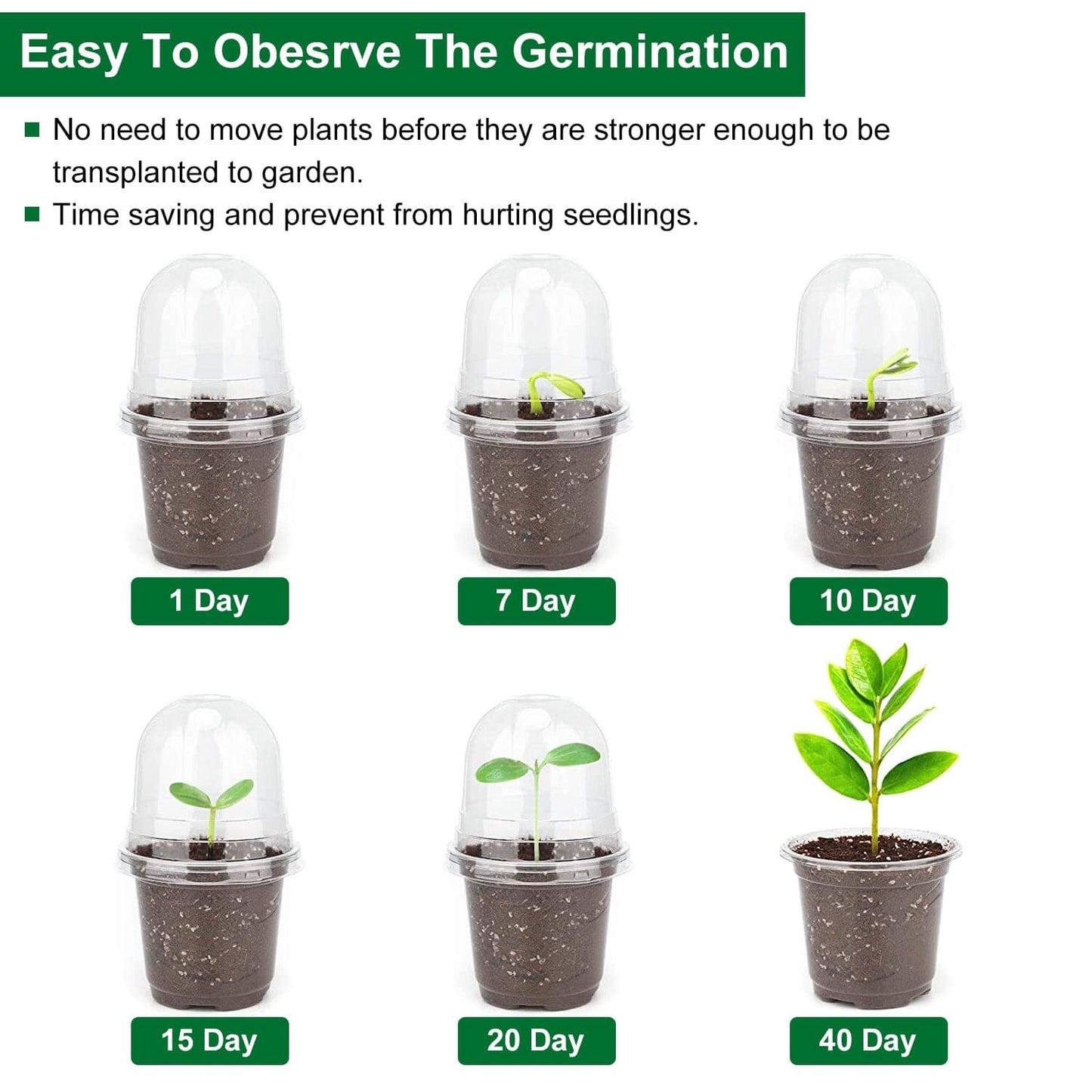 Rynx | 30 pieces: Plant nursery pots PET Flower seed starter pots Container with dome and drainage hole