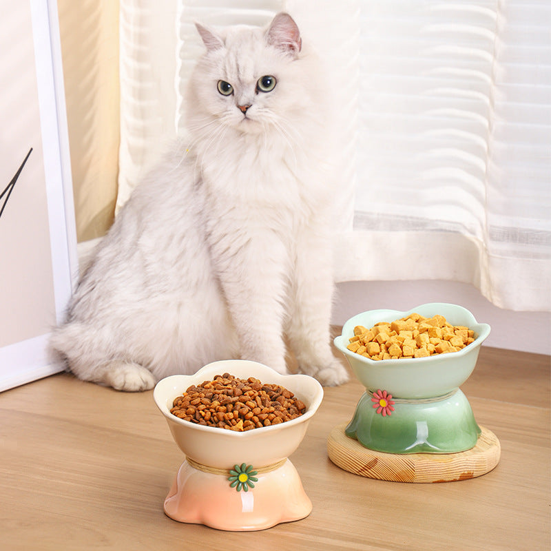 Rynx | Elevated Gradient Ceramic Pet Bowl