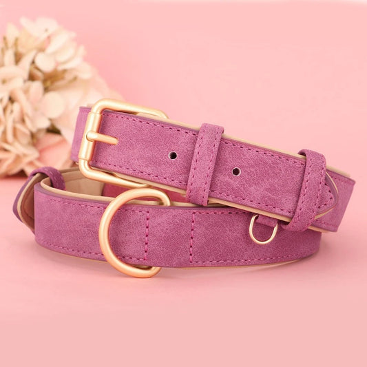Rynx | Soft Leather Padded Dog Collar Adjustable and Durable for Small and Medium Dogs