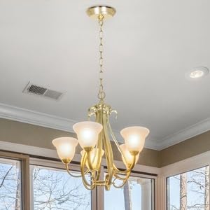 Rynx | Eumyviv 10Ft Heavy Duty Gold Chain & 5" Canopy Set For Hanging Pendant Lighting