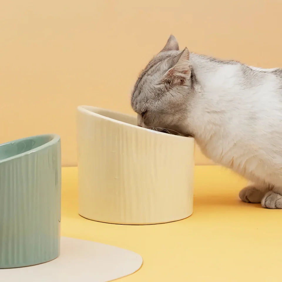 Rynx | Elevated Ceramic Bevel Bowl for Cats and Dogs - Protects Cervical Spine