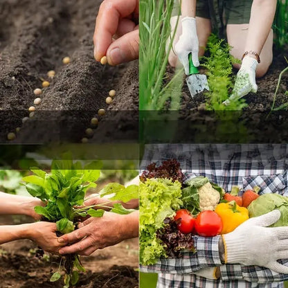 Rynx | 35 Seed Set with over 16,000 Vegetable Seeds (35 Free Plant Labels)