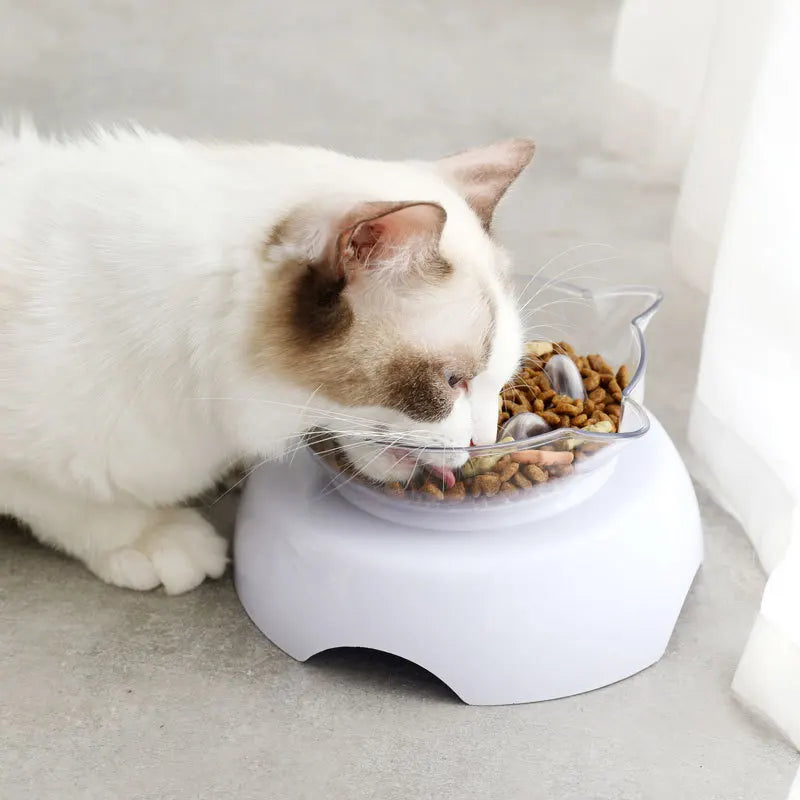 Rynx | 15 Degree Tilt Anti-Suffocate Cat Slow Feeder with Raised Stand
