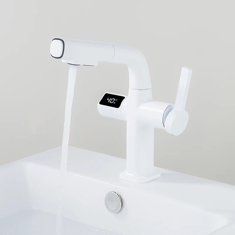 Rynx | Elegant House Brass Aqua View Bathroom Digital Faucet