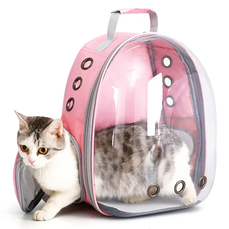Rynx | Pet carrier backpack - TravelPaw
