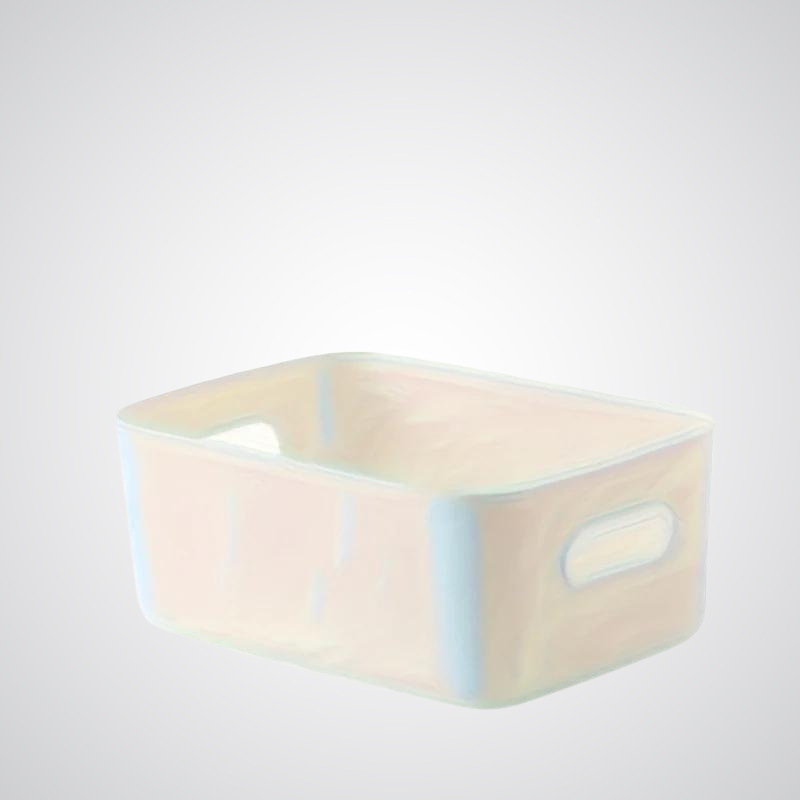 Rynx | Set of 10 Storage Boxes - Lightweight Plastic Organizer