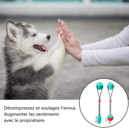 Rynx | Dog suction cup toy
