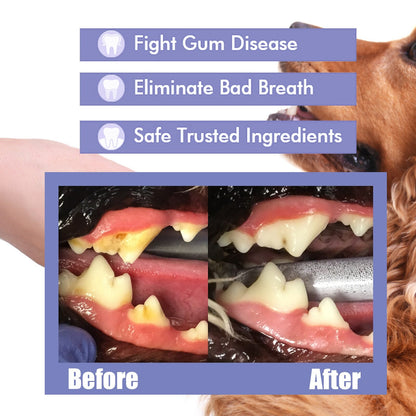 Rynx | Oral Care Spray - Eliminates Bad Breath And Promotes Oral Health