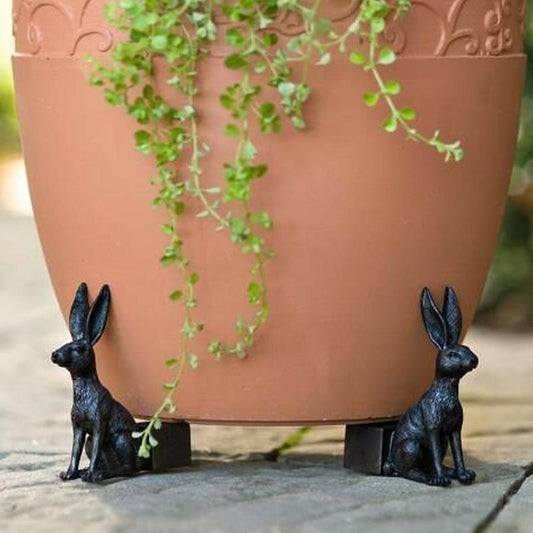 Rynx | Animal-Shaped Foot Pot (Set of 3)