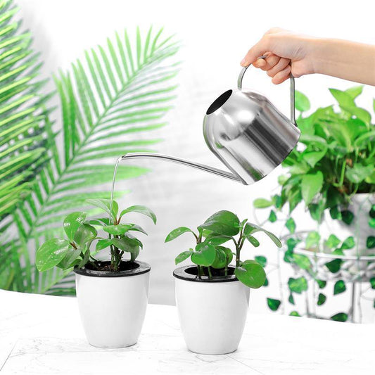 RYNX | Stainless Steel Watering Can with Flexible Neck | Modern Design | Perfect Watering | Rustproof