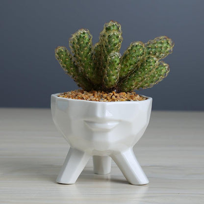 Rynx | FaciaBloom - 2-piece set White Ceramic Face Succulent Pots | Modern Design | Decor for Home & Office