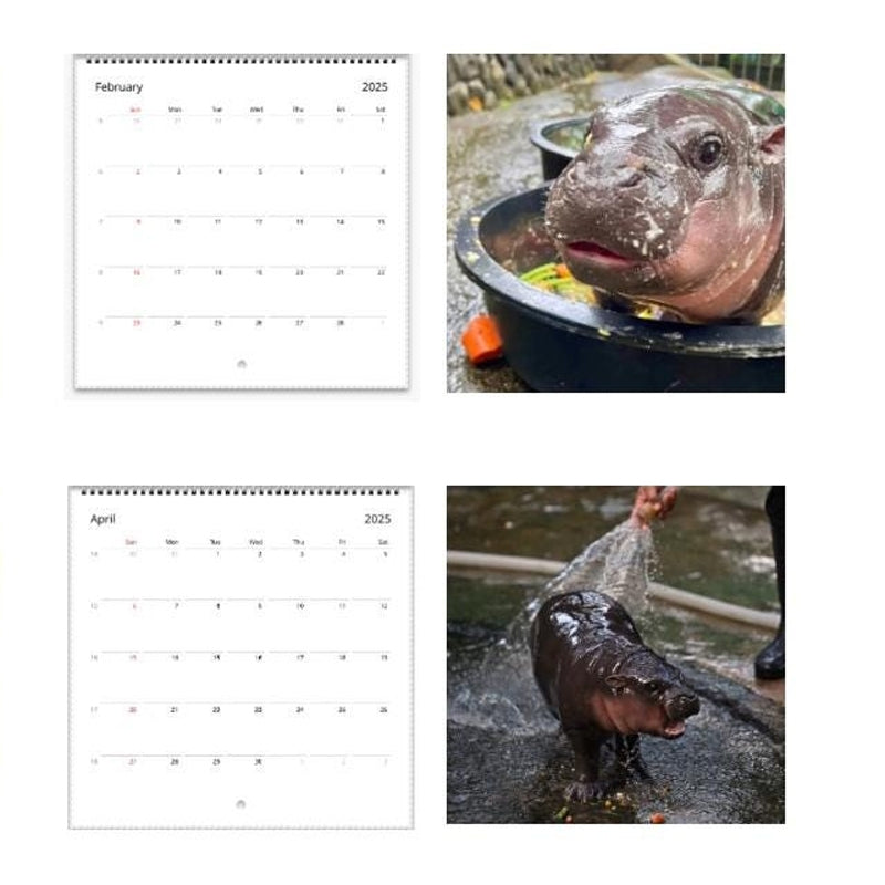Rynx | Moo Deng Calendar | Calendar 2025