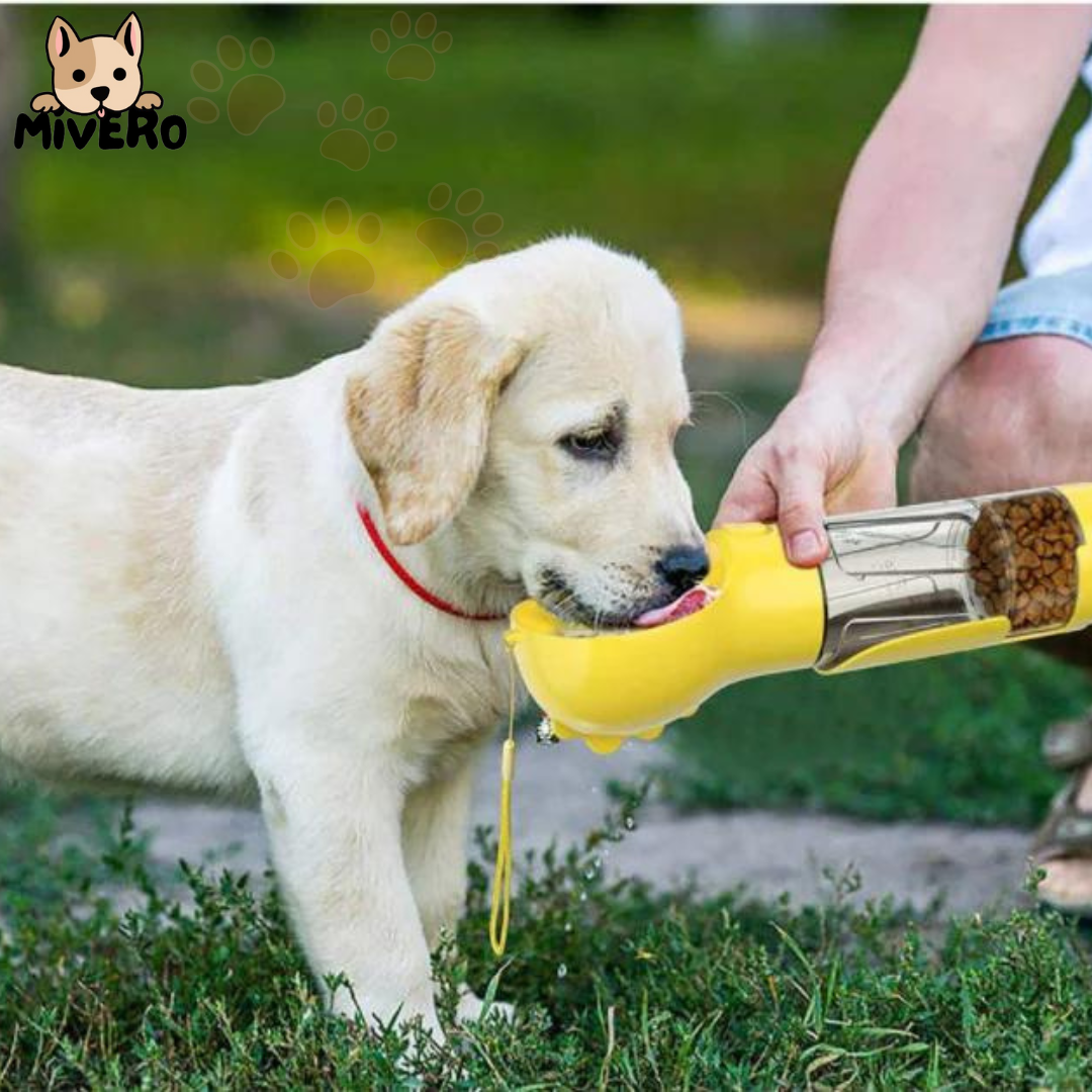 Rynx | Floky - The all-in-one solution for adventures with your dog!