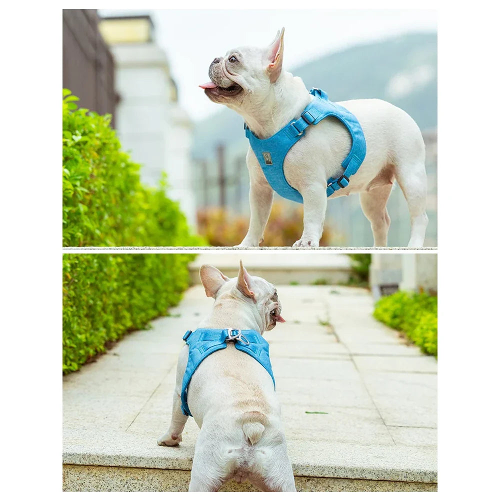 Rynx | Eco-Friendly Adjustable No-Pull Pet Harness