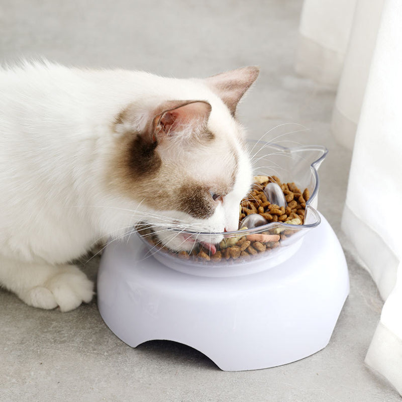 Rynx | 15° Tilt Pet Bowl with Non-Slip Stand