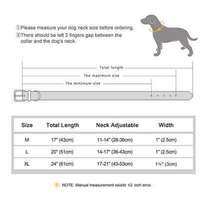 Rynx | Genuine Leather Dog Collar Durable and Adjustable for Small and Large Dogs