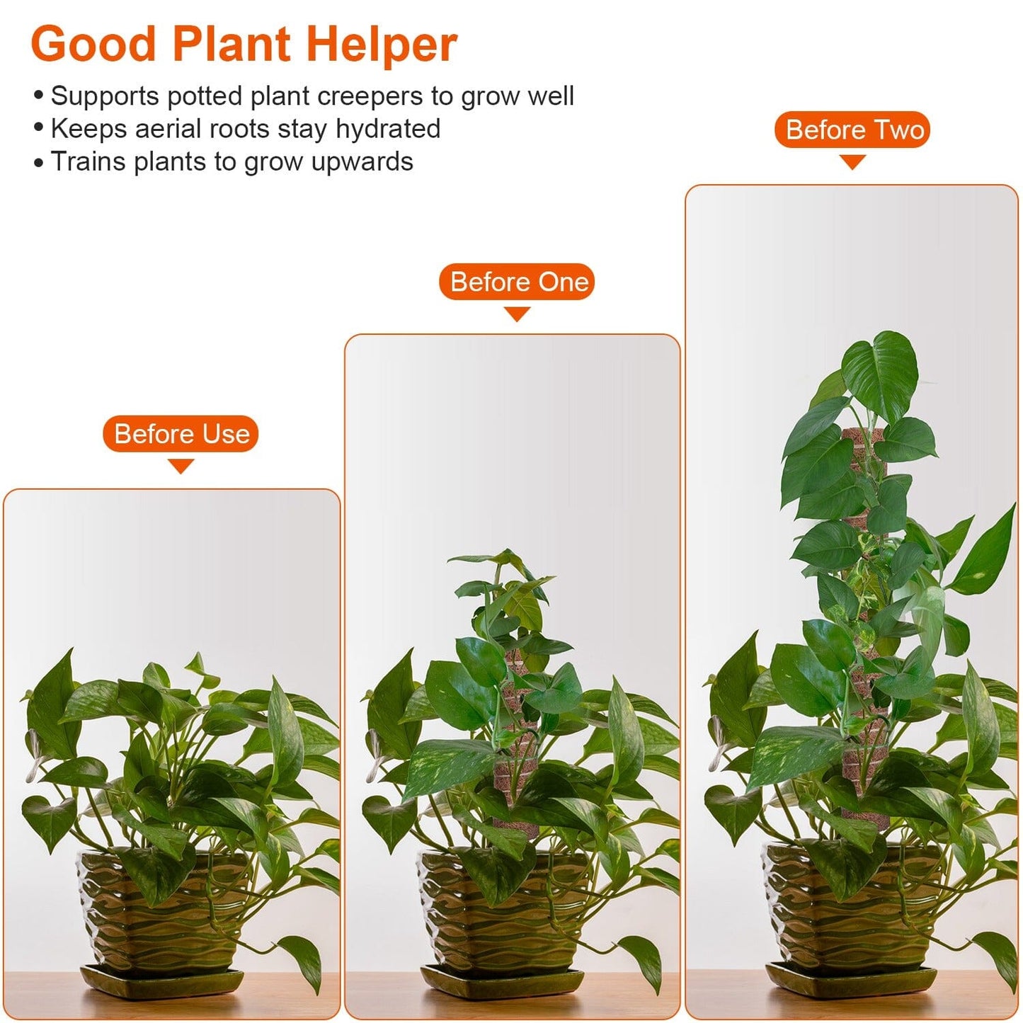 Rynx | 4-Pieces: Coco Coir Expandable Moss Pole for Climbing Plants