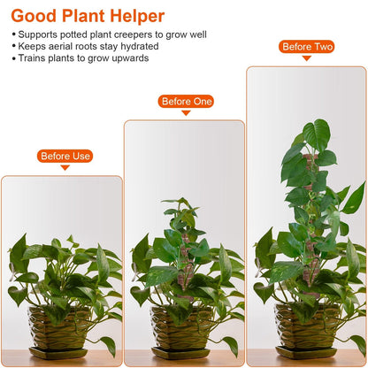 Rynx | 4-Pieces: Coco Coir Expandable Moss Pole for Climbing Plants