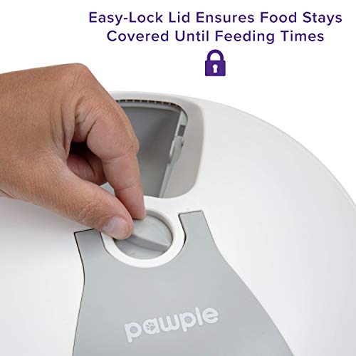 Rynx | Automatic 6 Meal Portion Control Pet Food Dispenser