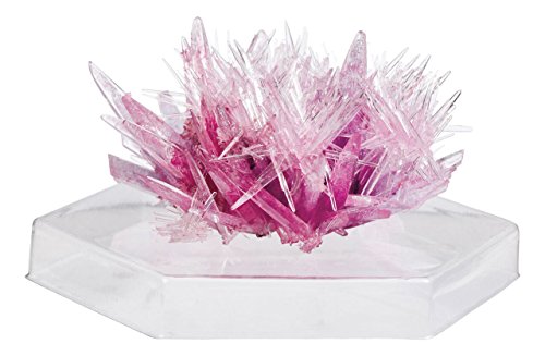 Rynx | Crystal Growing Experiment Set