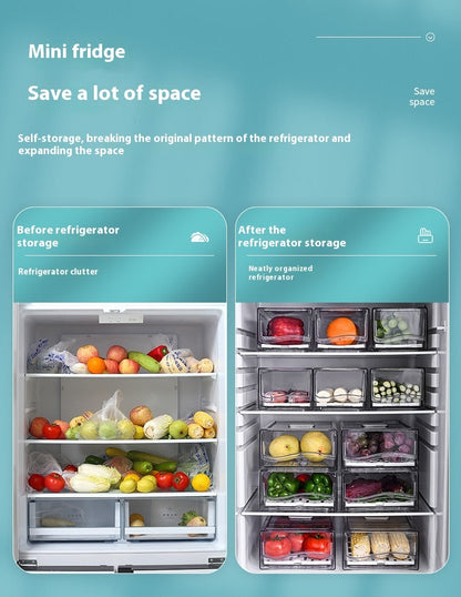 Rynx | Refrigerator Drawer Storage Box