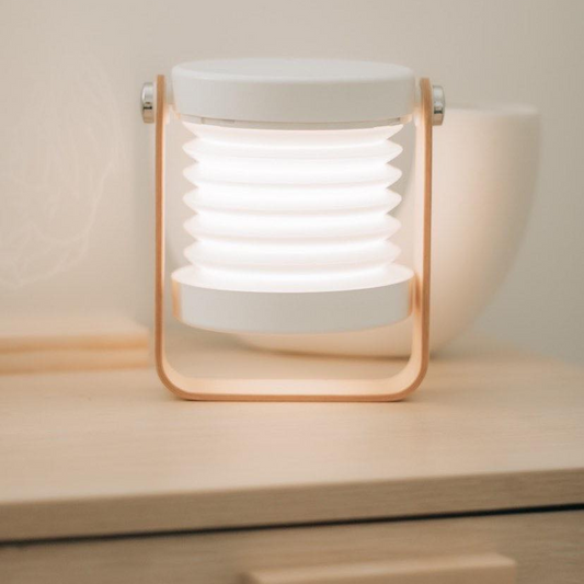Rynx | Modern 4-in-1 collapsible light