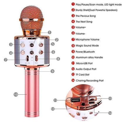RYNX | Wireless Bluetooth Karaoke Microphone