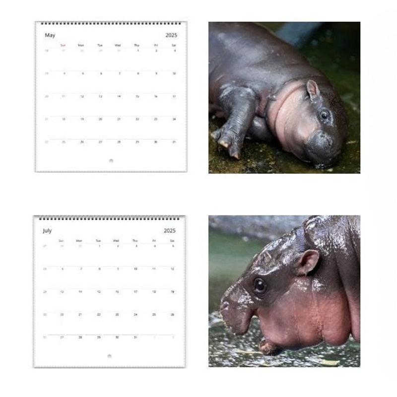 Rynx | Moo Deng Calendar | Calendar 2025