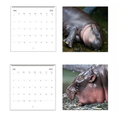 Rynx | Moo Deng Calendar | Calendar 2025