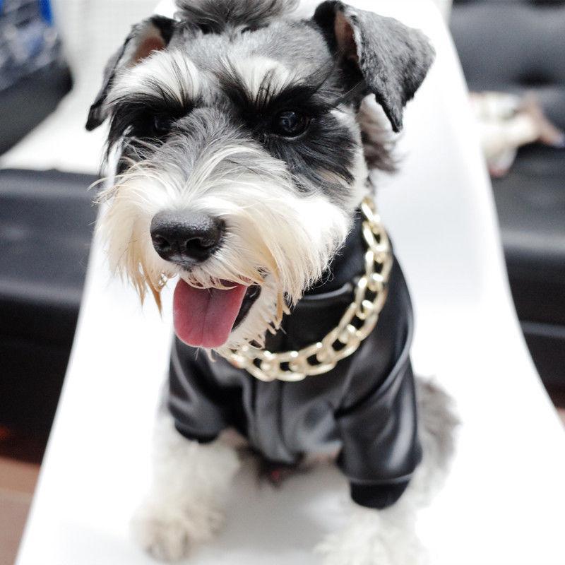 Rynx | Pet Jewelry Thick Gold Chain Collar