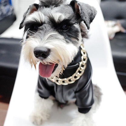 Rynx | Pet Jewelry Thick Gold Chain Collar