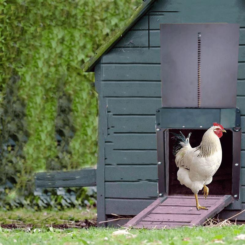 RYNX | Bird Farm Automatic Chicken Coop Door